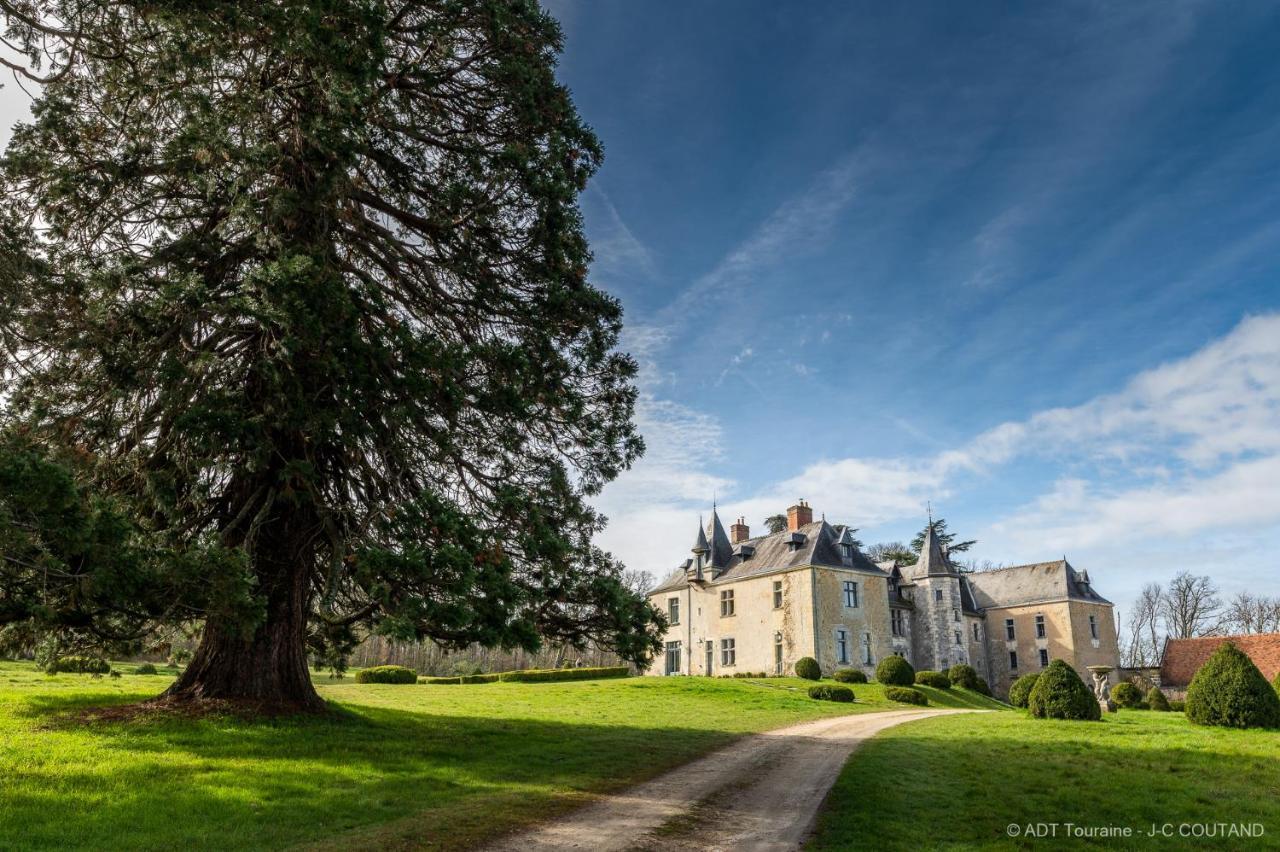 Chateau De Valesne Saché Exteriör bild